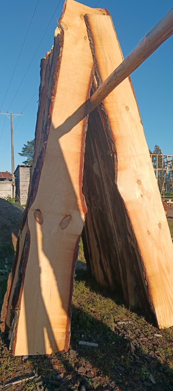 Trabajo en el aserradero 6